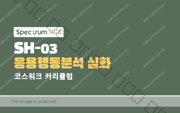 응용행동분석 심화
